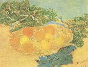 Vincent Van Gogh Still life:Oranges,Lomons and Blue Gloves (nn04) oil
